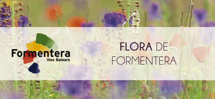 7 claves para admirar la belleza floral de Formentera ¡en primavera!